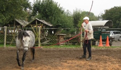 Dieses Pferd war kurz zuvor beim klassischen Longieren 'ausgetickt'. Jetzt ist es entspannt und aufmerksam.